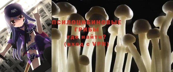 мдма Новозыбков
