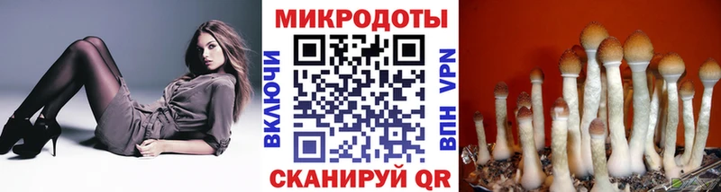 Галлюциногенные грибы мухоморы  Купить  Кумертау 